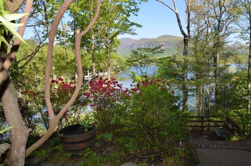 Lodge on Lake Lure Extérieur photo